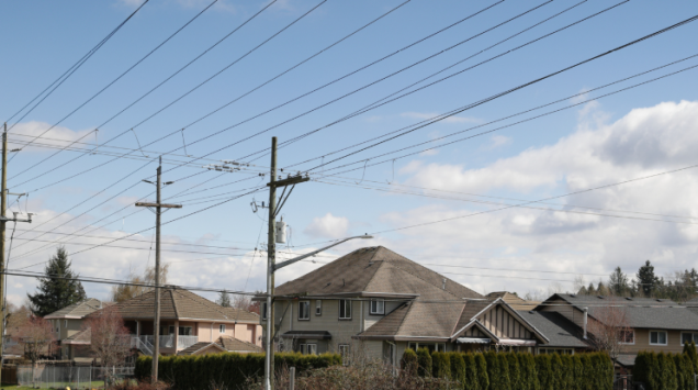 Professional arborist trimming trees near overhead power lines for safety