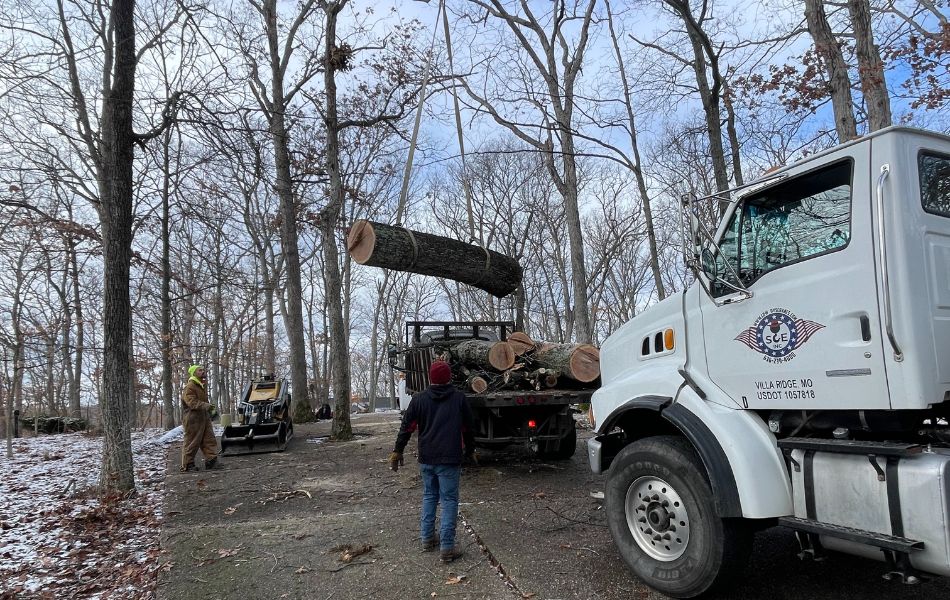 The Mathias Precision team lowers a log onto a trailer during a tree removal in Lake St. Louis, MO.