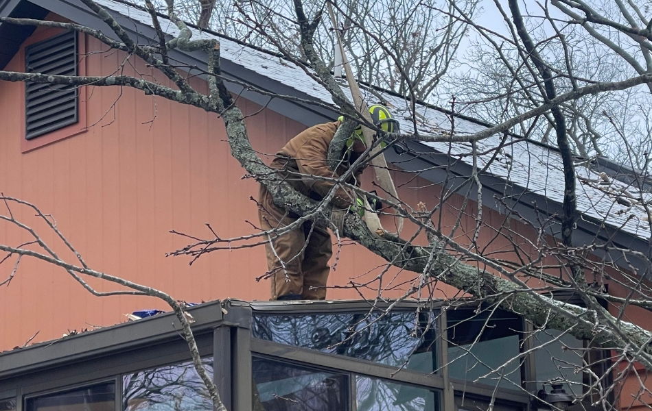 Arborist removing a storm-damaged tree limb from the roof of a St. Louis home during an emergency tree service call.