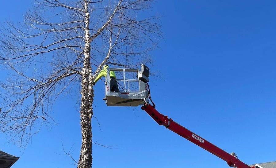 The Mathias Precision team uses a spider lift to remove a tree from a yard St. Charles, MO.