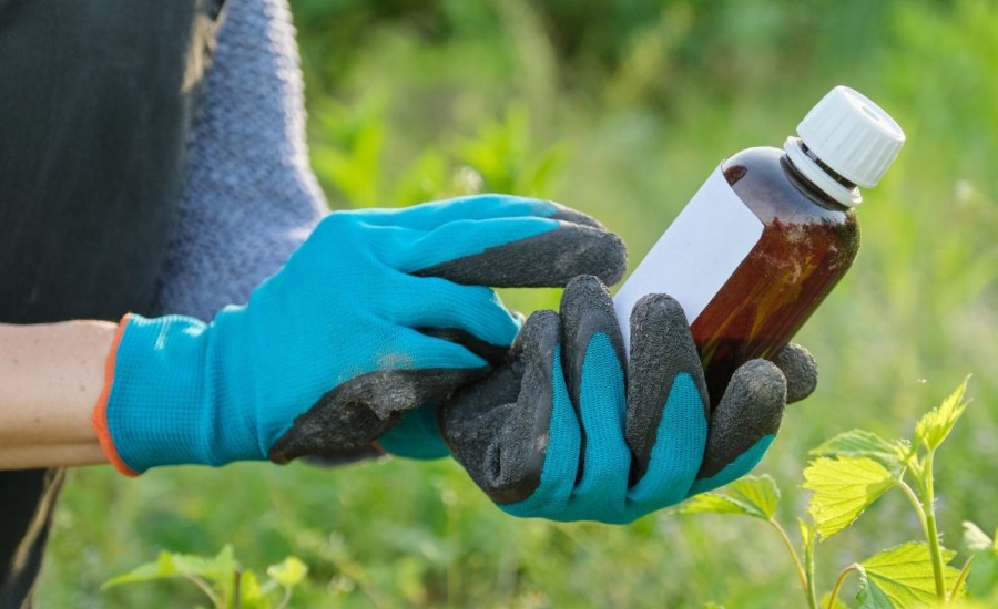 Tree care professional holding liquid fertilizer for fall tree treatment in St. Charles County Missouri.