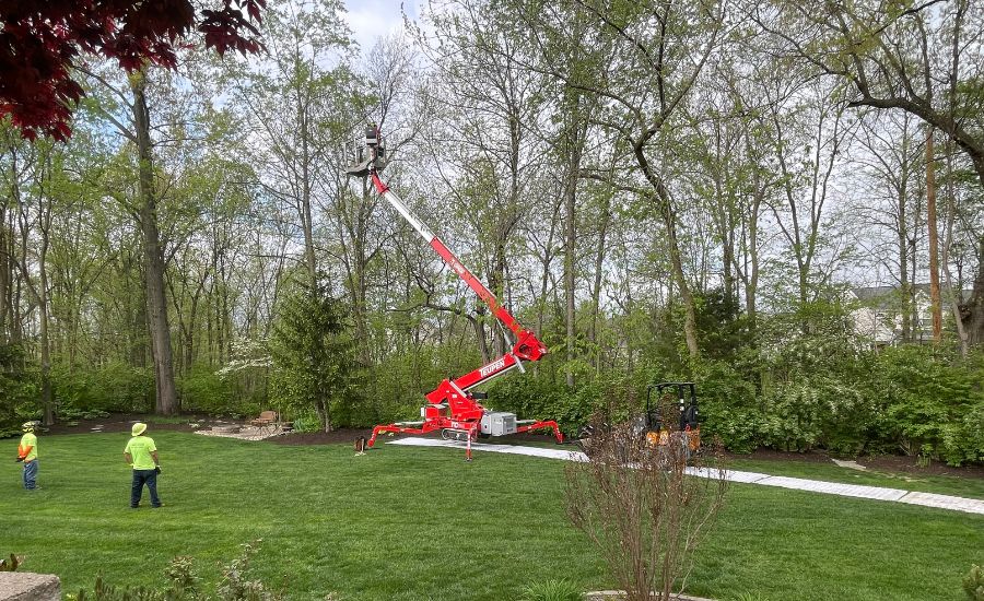 Mathias Precision using their spider lift to prune tall trees in a backyard near St Louis.