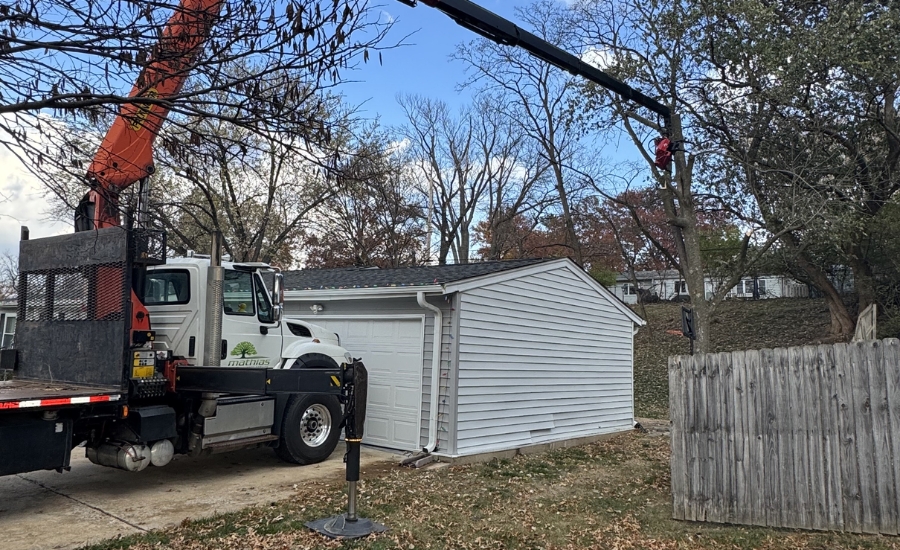 Large crane lifting sections of a fallen tree during emergency storm cleanup at a residential property in St. Louis.