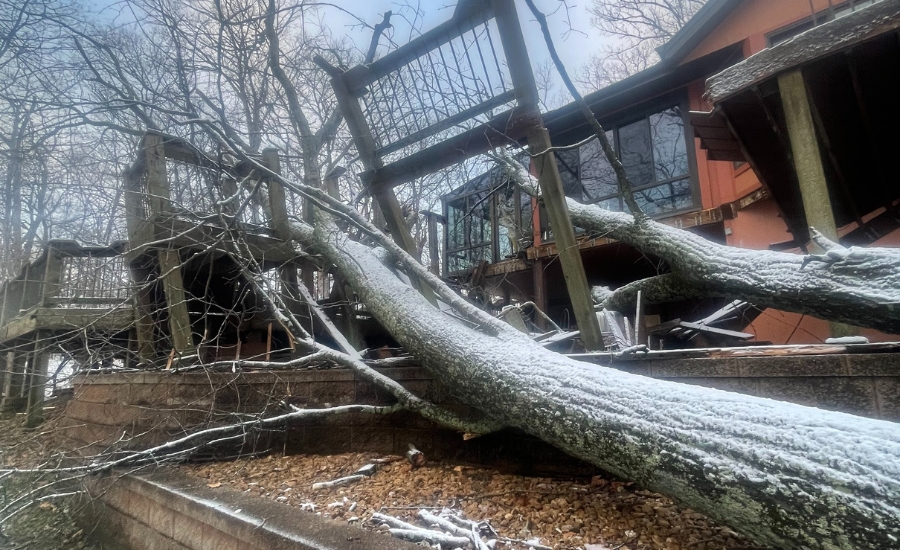 Large hardwood tree fallen across a snowy St. Louis yard after a winter storm, resting against the home's elevated deck.