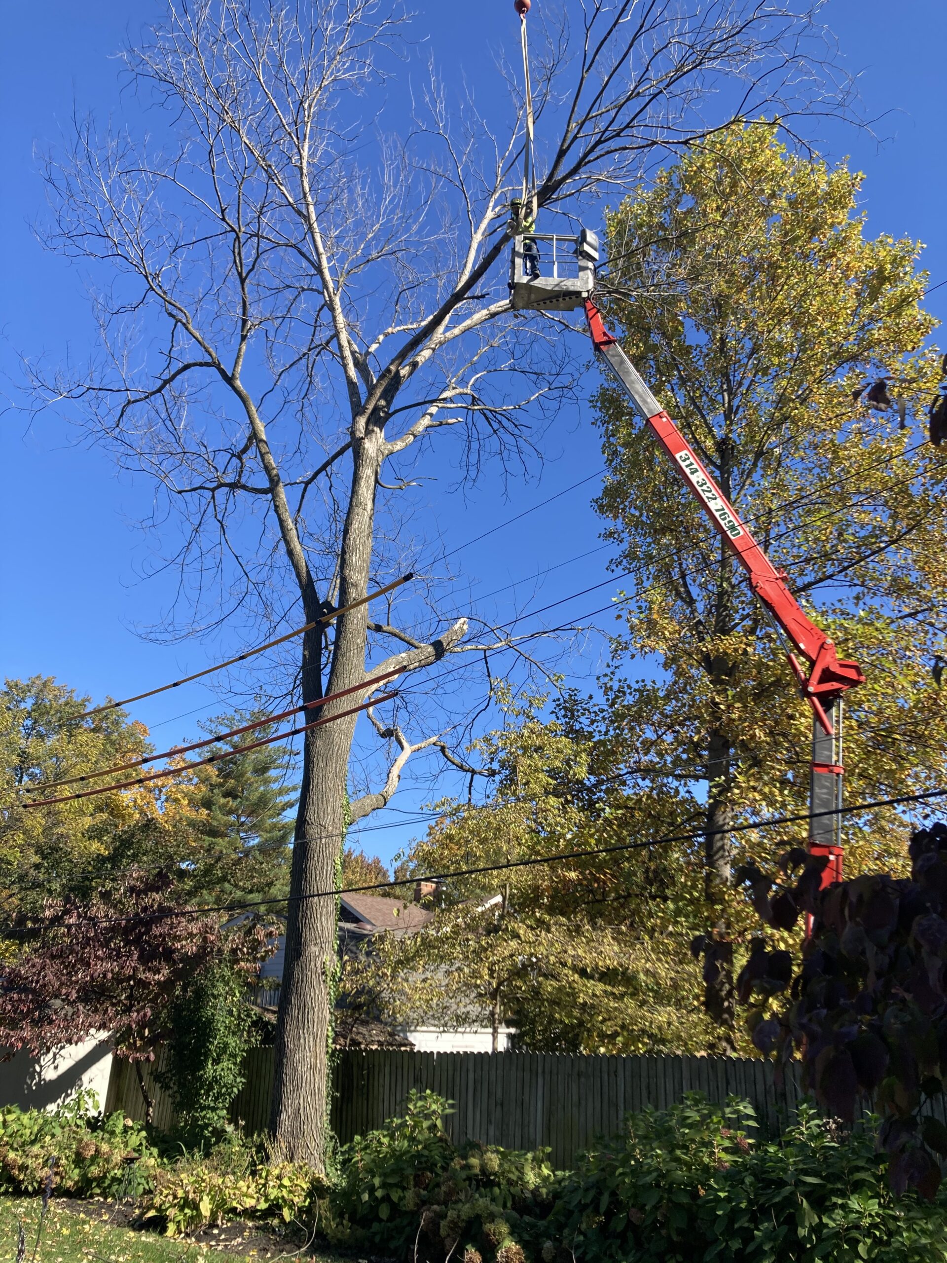 Mathias-tree-removal-with-crane-and-spider-lift-030524
