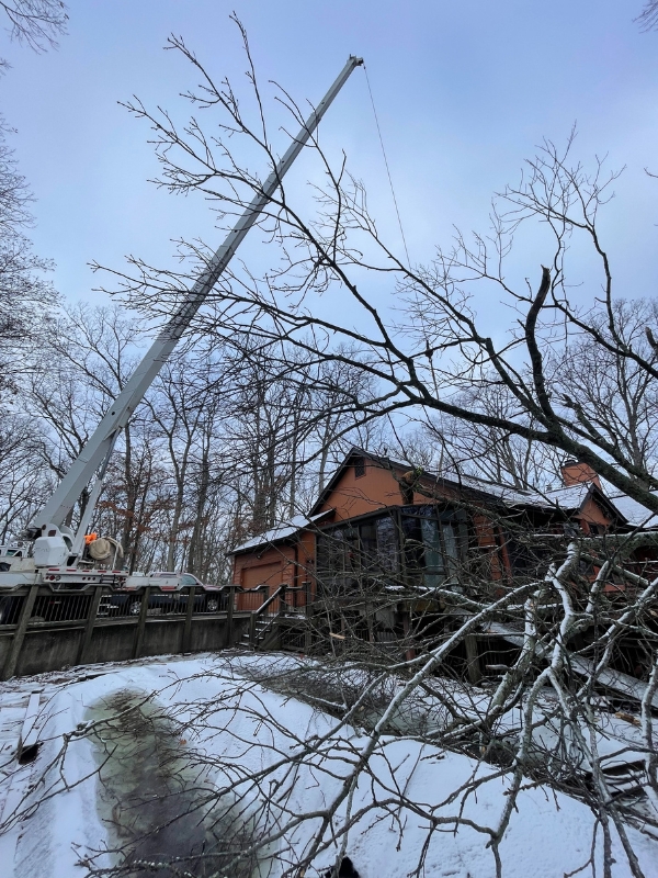 A crane of Mathias Precision Tree Service, cleaning up a fallen tree after a snow storm in St. Peters, MO.