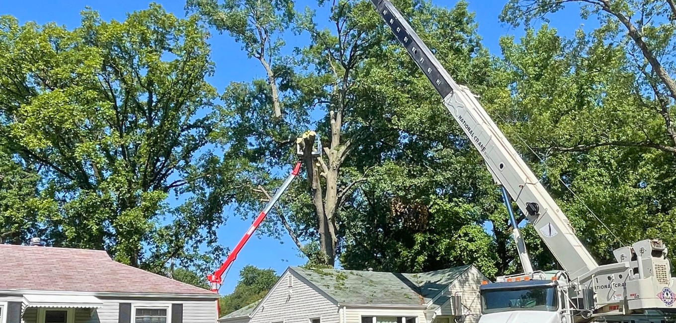 Tree removal with a crane and spider lift on a residence in MO