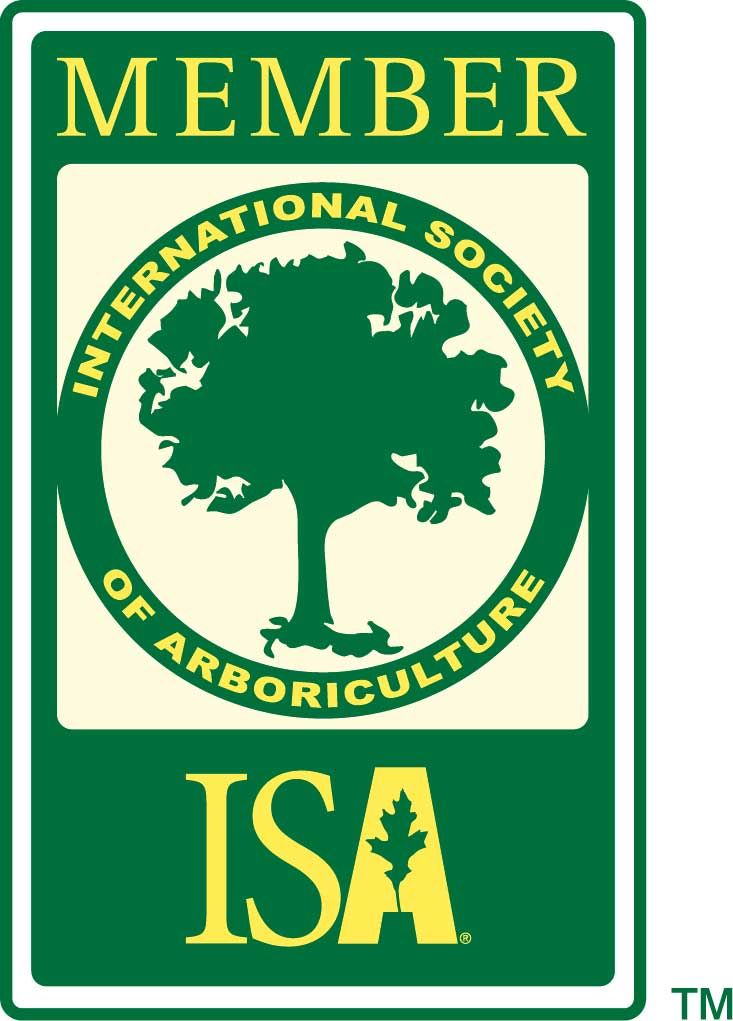 isa-member